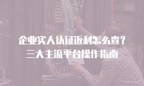企业实人认证返利怎么查？三大主流平台操作指南