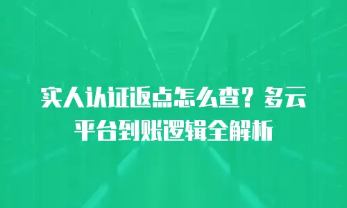 实人认证返点怎么查？多云平台到账逻辑全解析