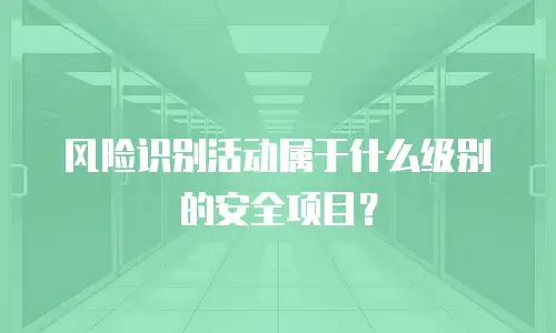 风险识别活动属于什么级别的安全项目？