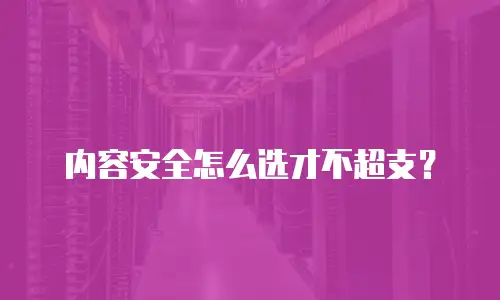 内容安全怎么选才不超支？