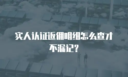 实人认证返佣明细怎么查才不漏记？