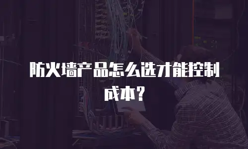 防火墙产品怎么选才能控制成本？
