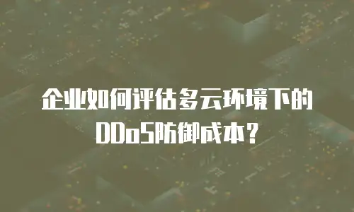 企业如何评估多云环境下的DDoS防御成本？