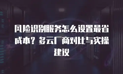 风险识别服务怎么设置最省成本？多云厂商对比与实操建议