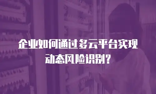 企业如何通过多云平台实现动态风险识别？