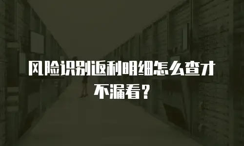 风险识别返利明细怎么查才不漏看？