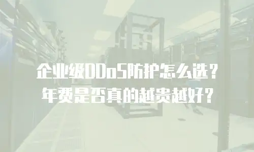 企业级DDoS防护怎么选？年费是否真的越贵越好？