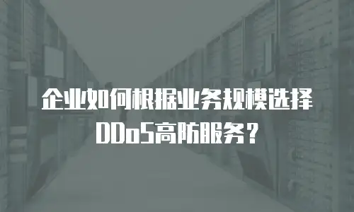 企业如何根据业务规模选择DDoS高防服务？