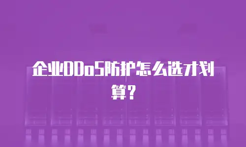 企业DDoS防护怎么选才划算？