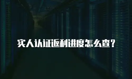 实人认证返利进度怎么查？