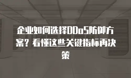 企业如何选择DDoS防御方案？看懂这些关键指标再决策