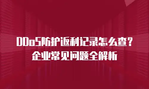 DDoS防护返利记录怎么查？企业常见问题全解析