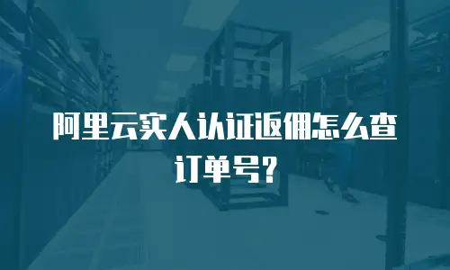 阿里云实人认证返佣怎么查订单号？