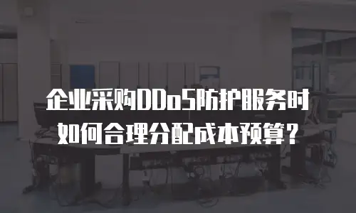 企业采购DDoS防护服务时如何合理分配成本预算？