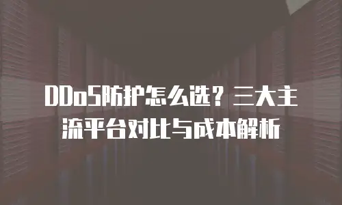 DDoS防护怎么选？三大主流平台对比与成本解析