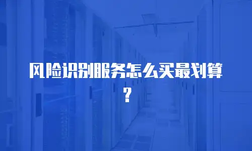 风险识别服务怎么买最划算？