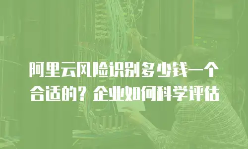 阿里云风险识别多少钱一个合适的？企业如何科学评估