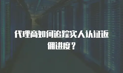 代理商如何追踪实人认证返佣进度？