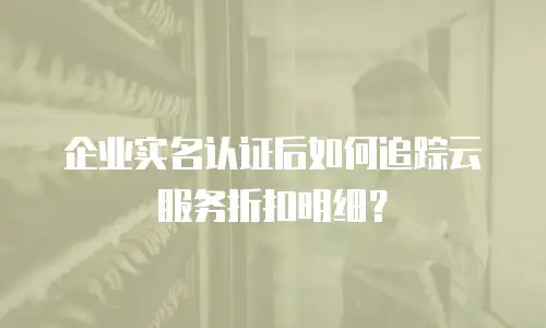 企业实名认证后如何追踪云服务折扣明细？