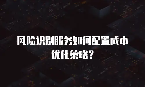 风险识别服务如何配置成本优化策略？