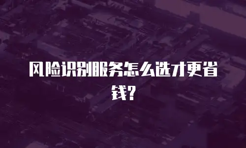 风险识别服务怎么选才更省钱？