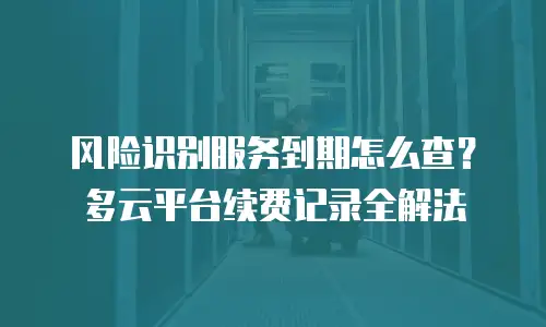 风险识别服务到期怎么查？多云平台续费记录全解法