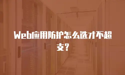 Web应用防护怎么选才不超支？