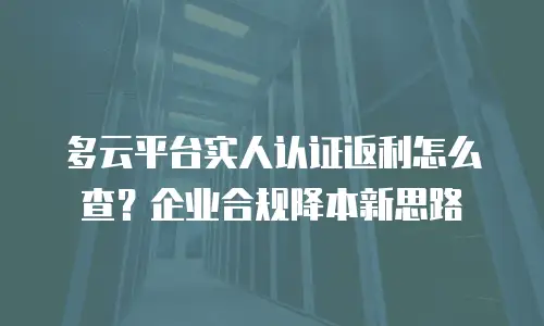 多云平台实人认证返利怎么查？企业合规降本新思路