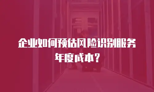企业如何预估风险识别服务年度成本？