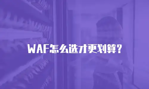 WAF怎么选才更划算？