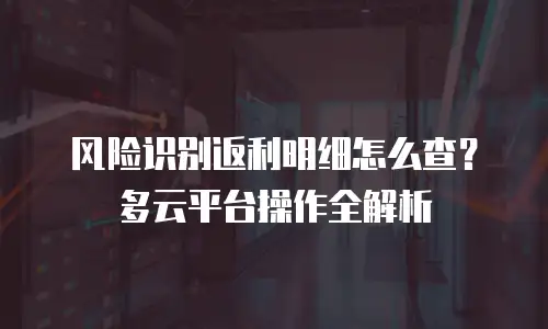 风险识别返利明细怎么查？多云平台操作全解析