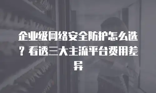 企业级网络安全防护怎么选？看透三大主流平台费用差异