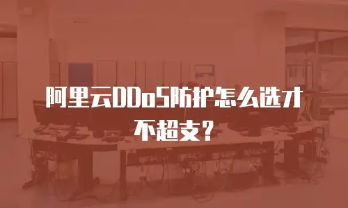 阿里云DDoS防护怎么选才不超支？