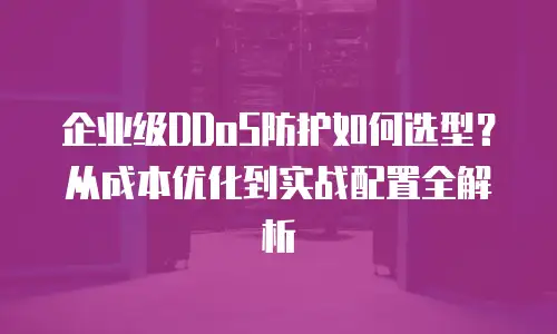 企业级DDoS防护如何选型？从成本优化到实战配置全解析