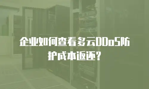 企业如何查看多云DDoS防护成本返还？