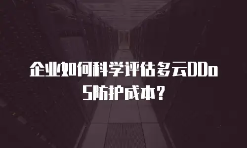 企业如何科学评估多云DDoS防护成本？