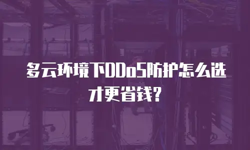 多云环境下DDoS防护怎么选才更省钱？