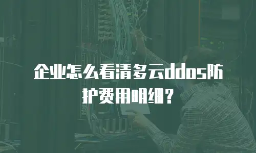 企业怎么看清多云ddos防护费用明细？