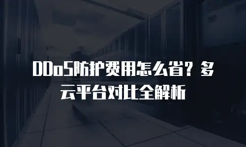 DDoS防护费用怎么省？多云平台对比全解析