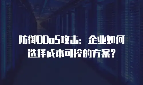 防御DDoS攻击：企业如何选择成本可控的方案？