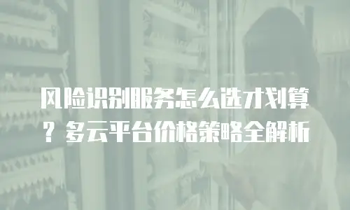 风险识别服务怎么选才划算？多云平台价格策略全解析