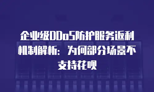 企业级DDoS防护服务返利机制解析：为何部分场景不支持花呗