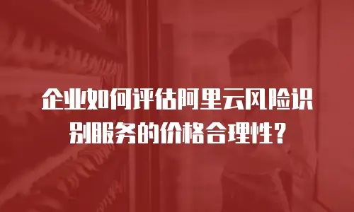 企业如何评估阿里云风险识别服务的价格合理性？