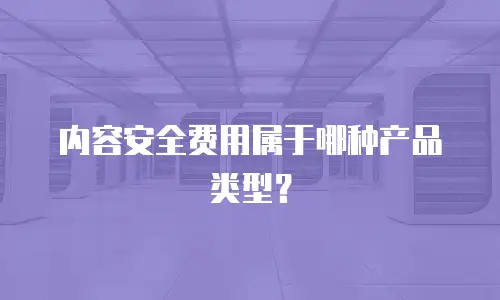 内容安全费用属于哪种产品类型？