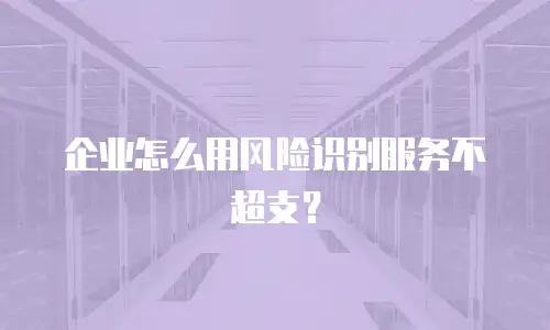 企业怎么用风险识别服务不超支？