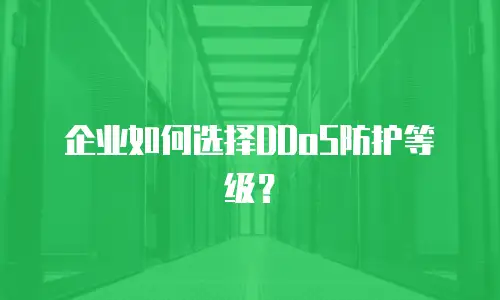企业如何选择DDoS防护等级？