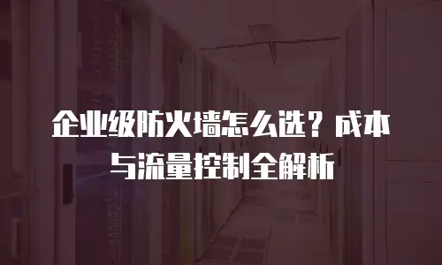 企业级防火墙怎么选？成本与流量控制全解析