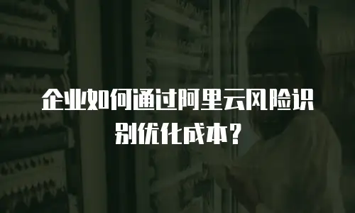 企业如何通过阿里云风险识别优化成本？