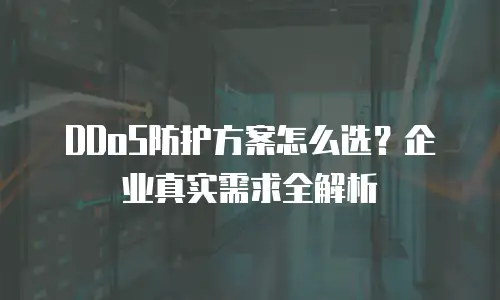 DDoS防护方案怎么选？企业真实需求全解析