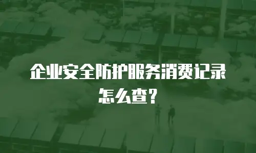 企业安全防护服务消费记录怎么查？